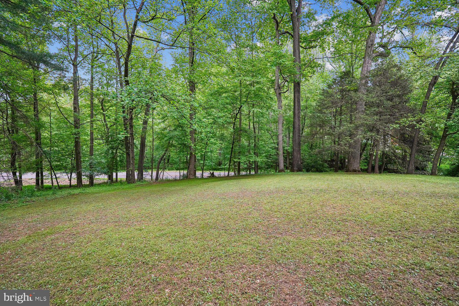 Plenty of Space for Pets or Play