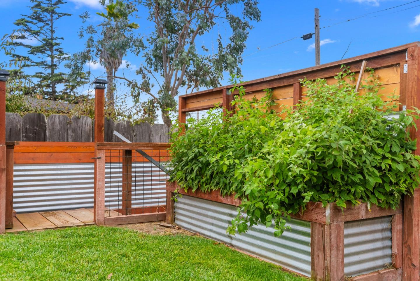 1149 Modoc Street Seaside, CA 93955 - Photo 29 of 37 a view of a backyard with a garden