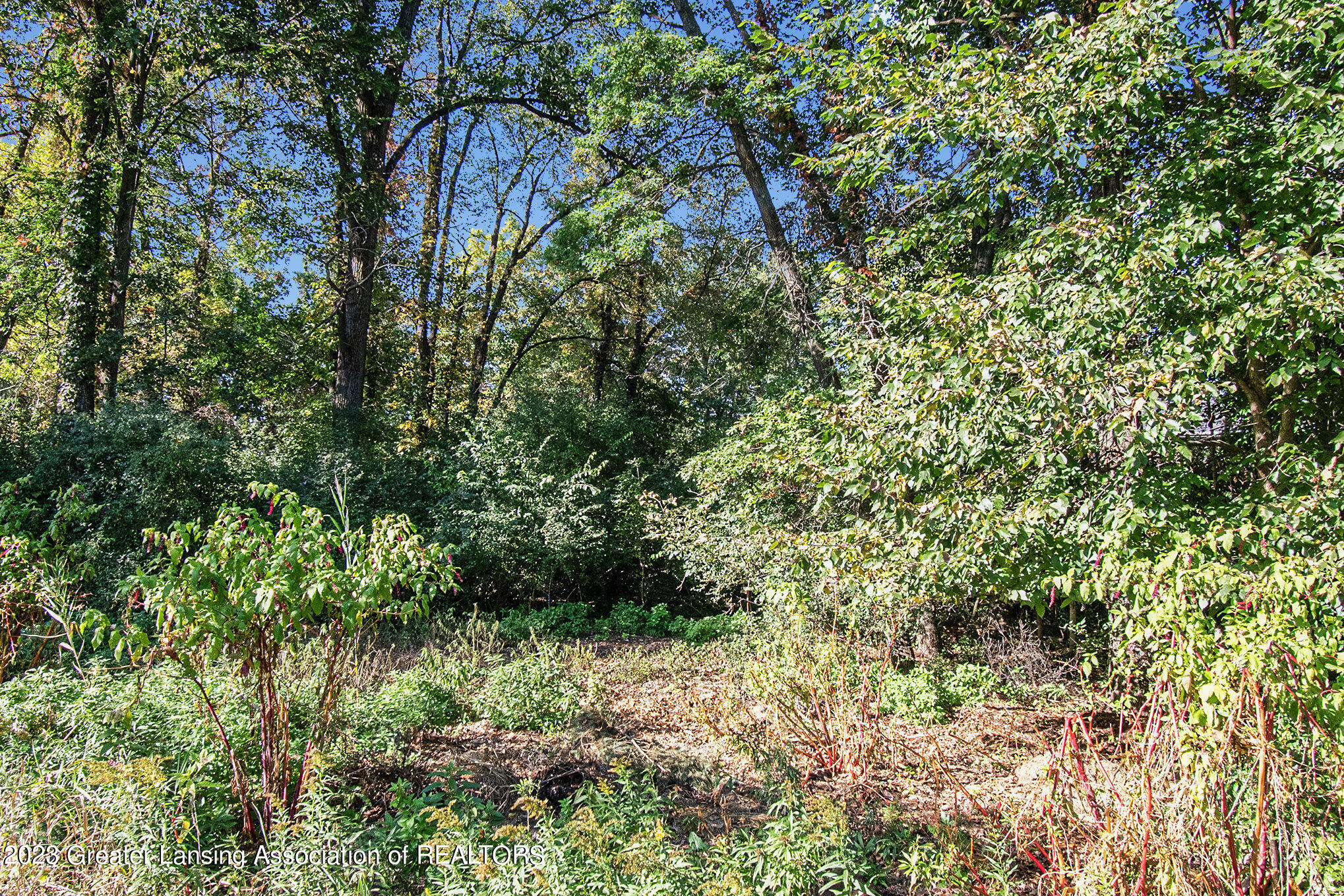 0 Peacock Road Haslett, MI 48840 - Photo 4 of 7 018_ndp9754