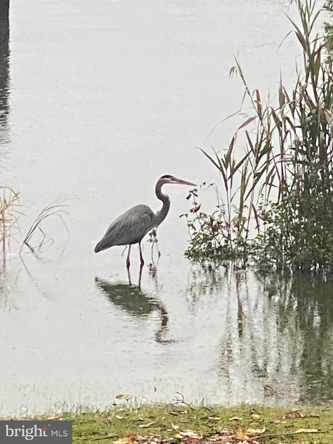 13930 Dowell Road Solomons, MD 20629 - Photo 7 of 9 a vase of flowers sitting on a table