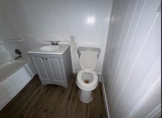 a bathroom with a sink and a toilet