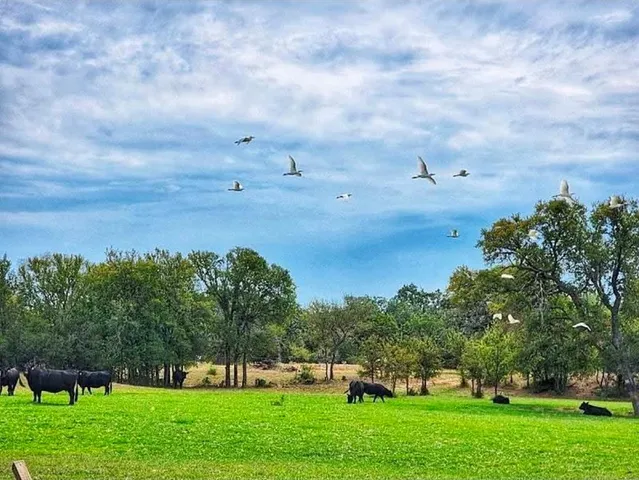 $155,000 | Lot 17 Brazos Mountain Ranch, Mineral Wells, TX 76067