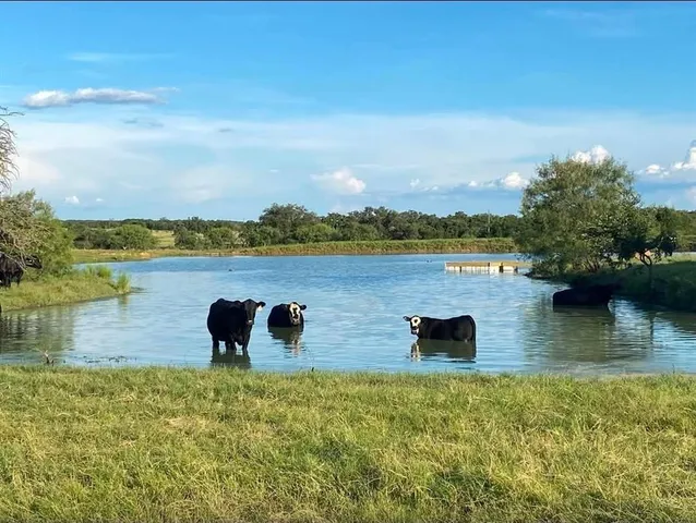 $155,000 | Lot 17 Brazos Mountain Ranch, Mineral Wells, TX 76067