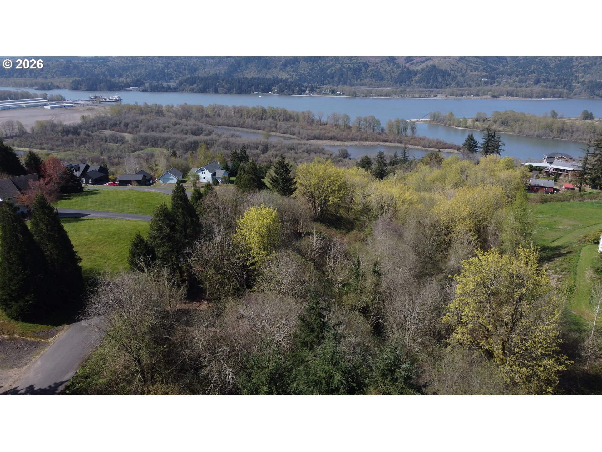 a view of a lush green field