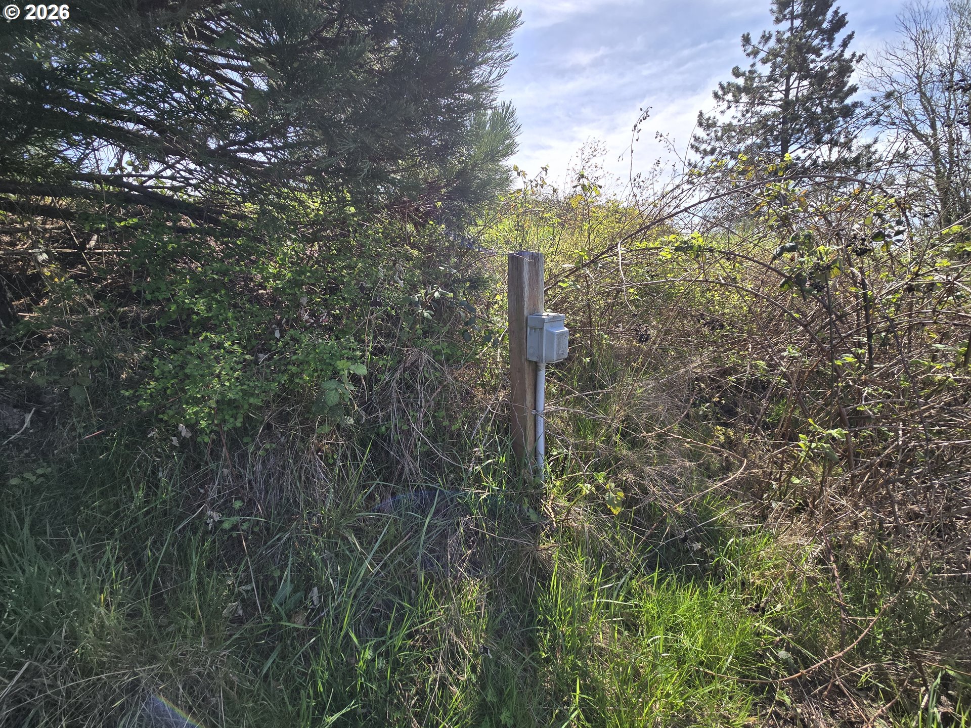 420 Topeka Road Kelso, WA 98626 - Photo 14 of 24 a view of a forest