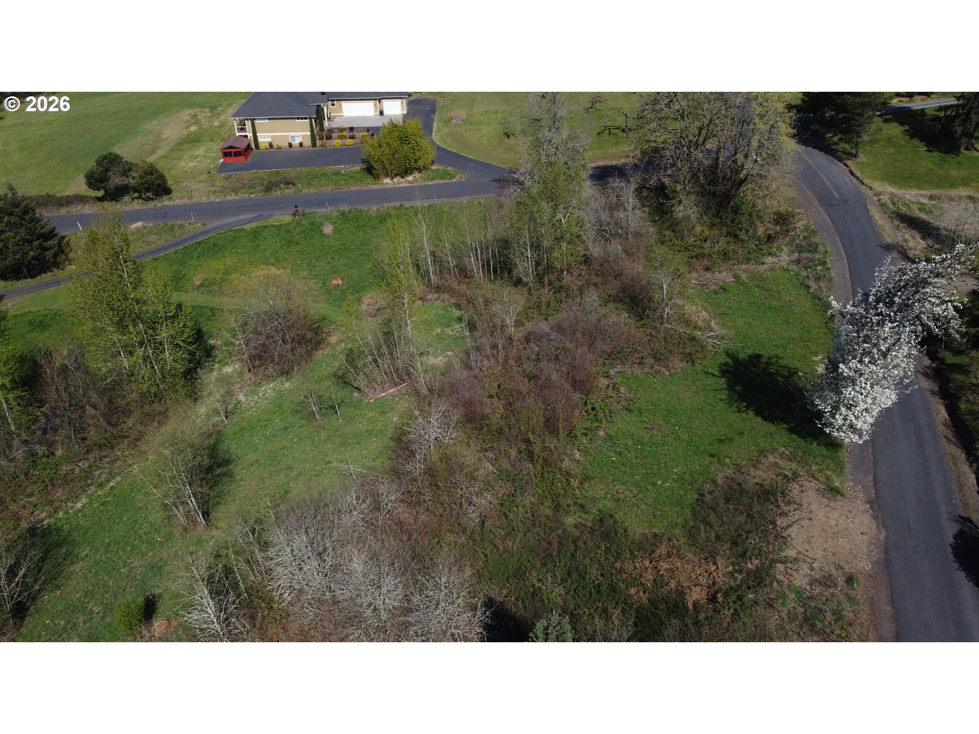 420 Topeka Road Kelso, WA 98626 - Photo 18 of 24 a open area with lots of trees