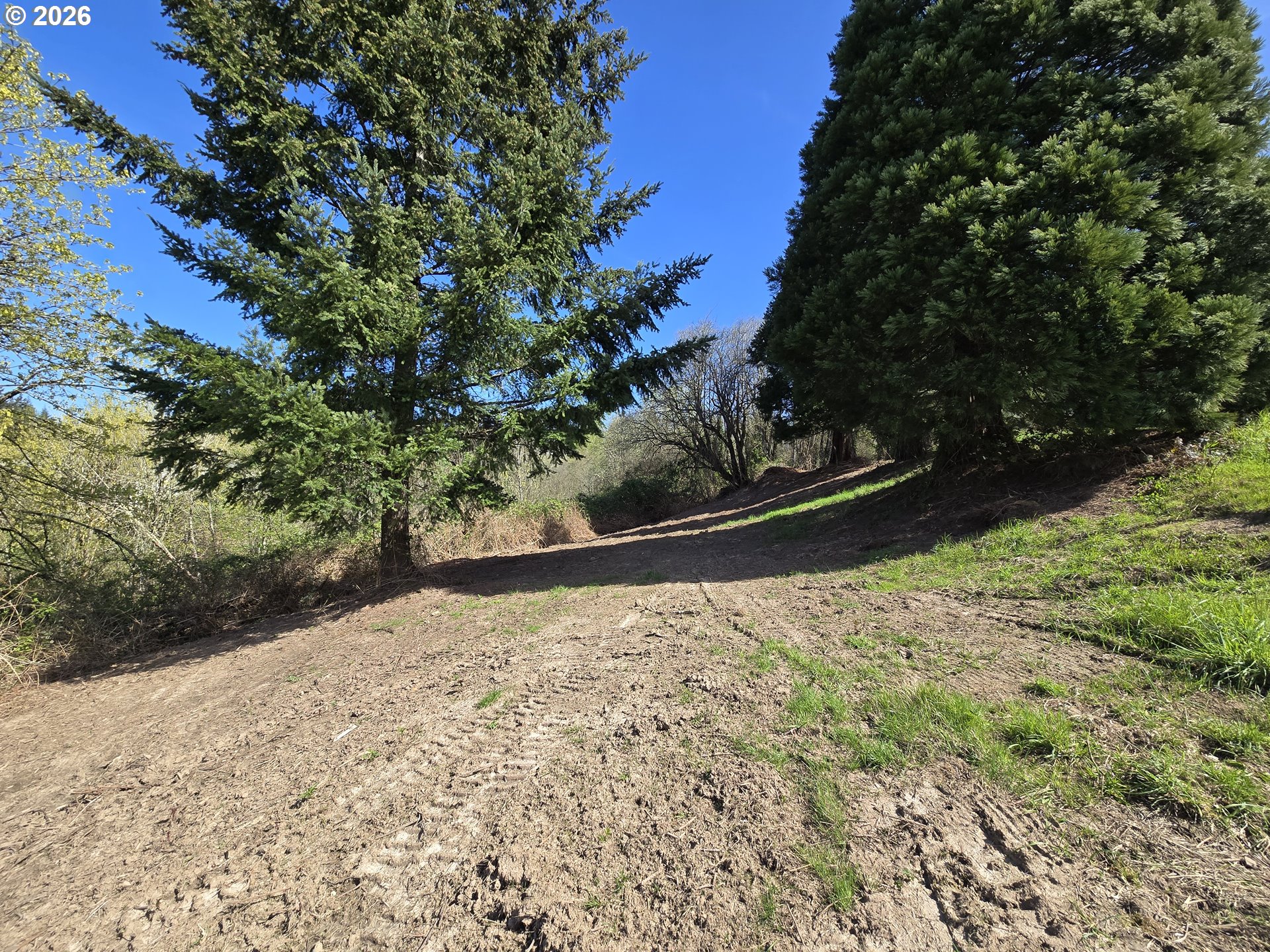 420 Topeka Road Kelso, WA 98626 - Photo 2 of 24 a view of a backyard of the house