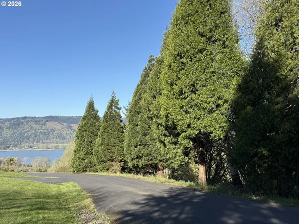 a view of a yard with an trees