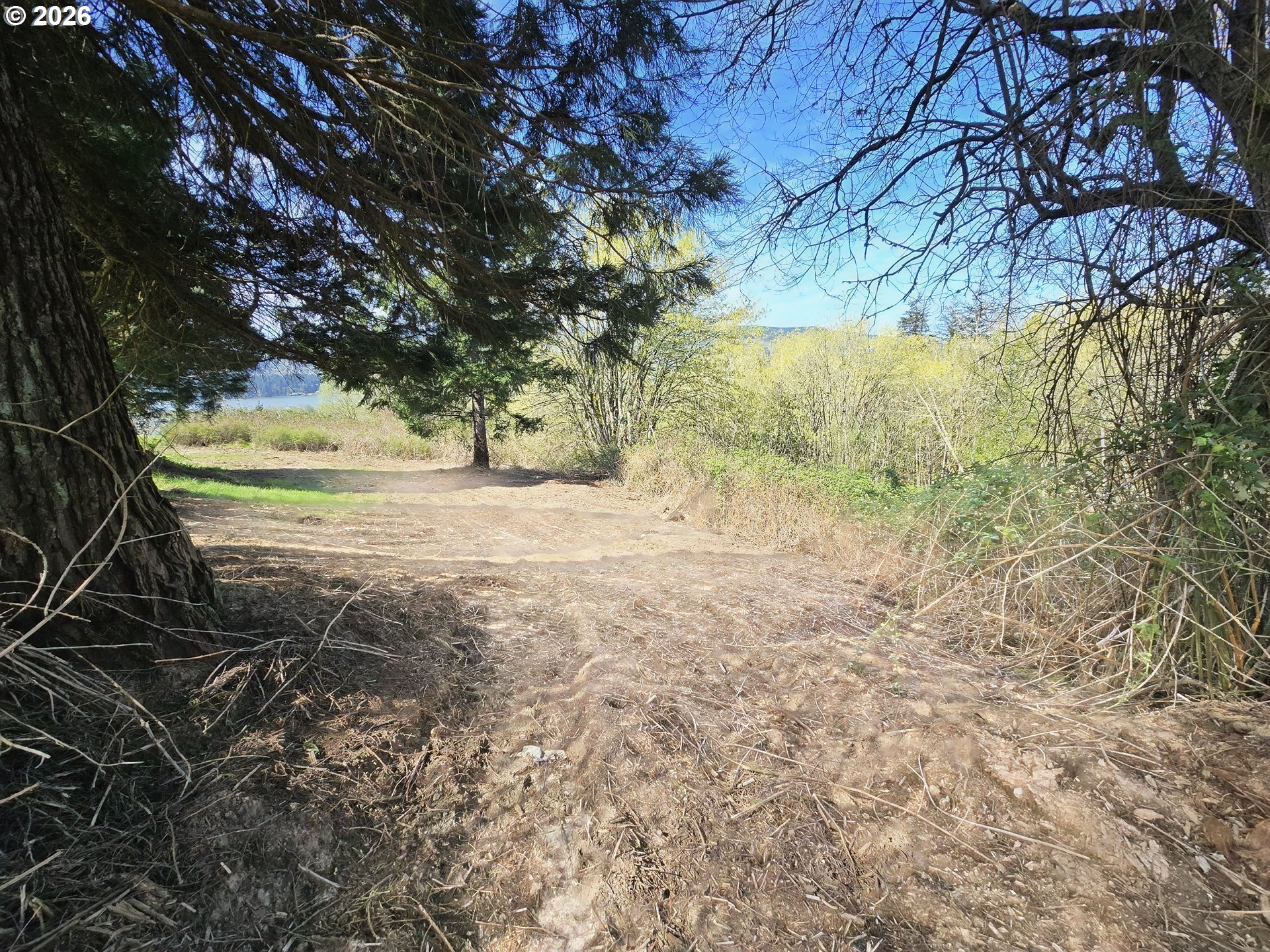 420 Topeka Road Kelso, WA 98626 - Photo 4 of 24 a view of beach and trees