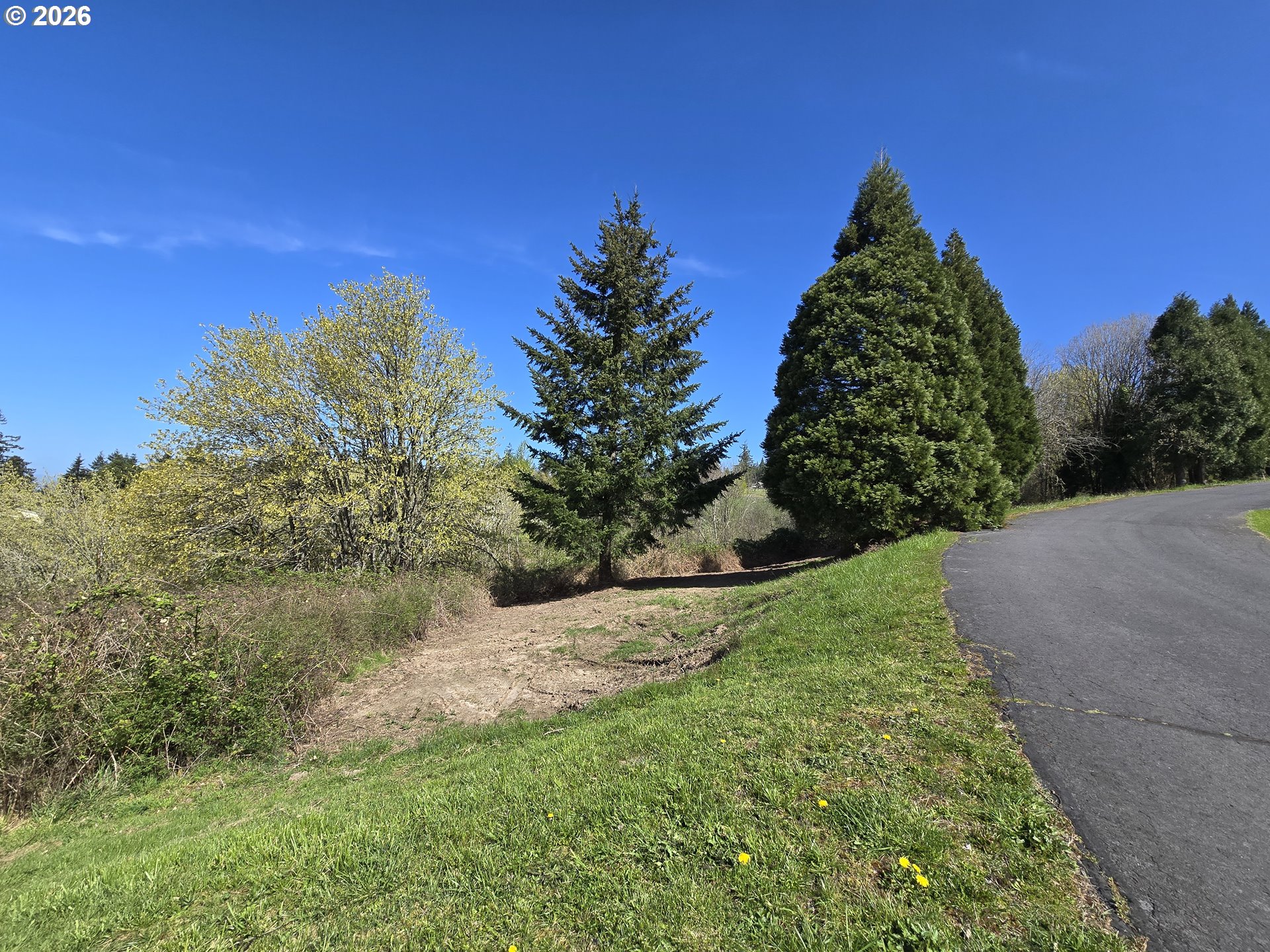 420 Topeka Road Kelso, WA 98626 - Photo 6 of 24 a view of a garden with a tree