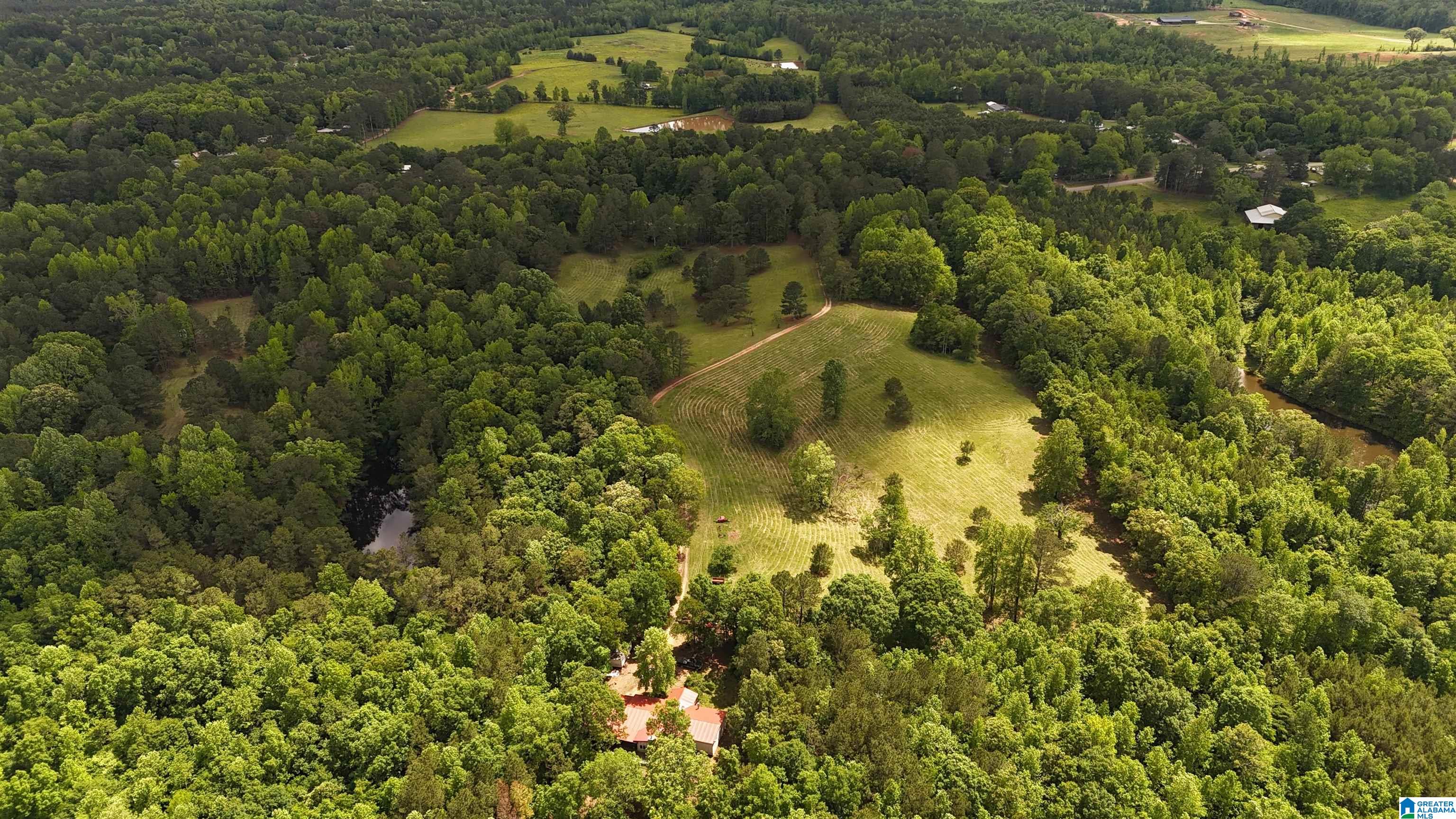 2488 Louina Road Roanoke, AL 36274 - Photo 82 of 97