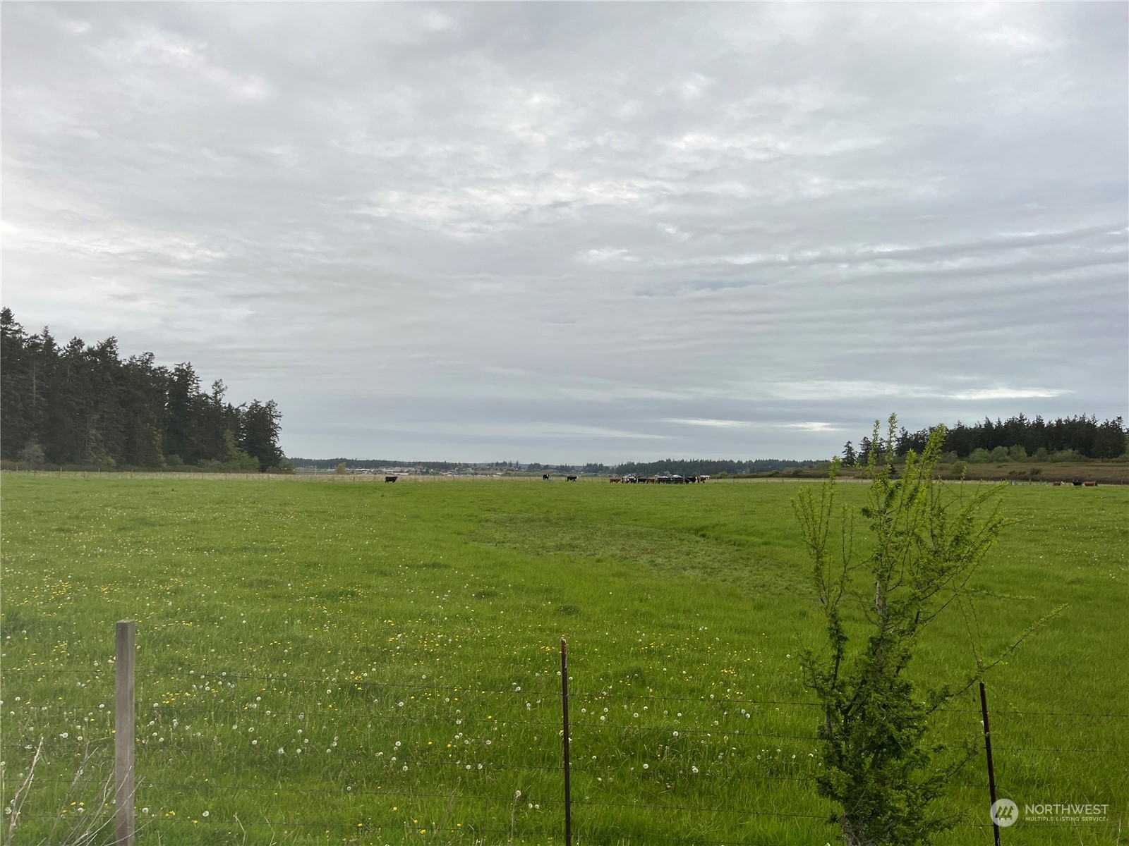 663 Engle Road Coupeville, WA 98239 - Photo 3 of 5 Gallery Image 3