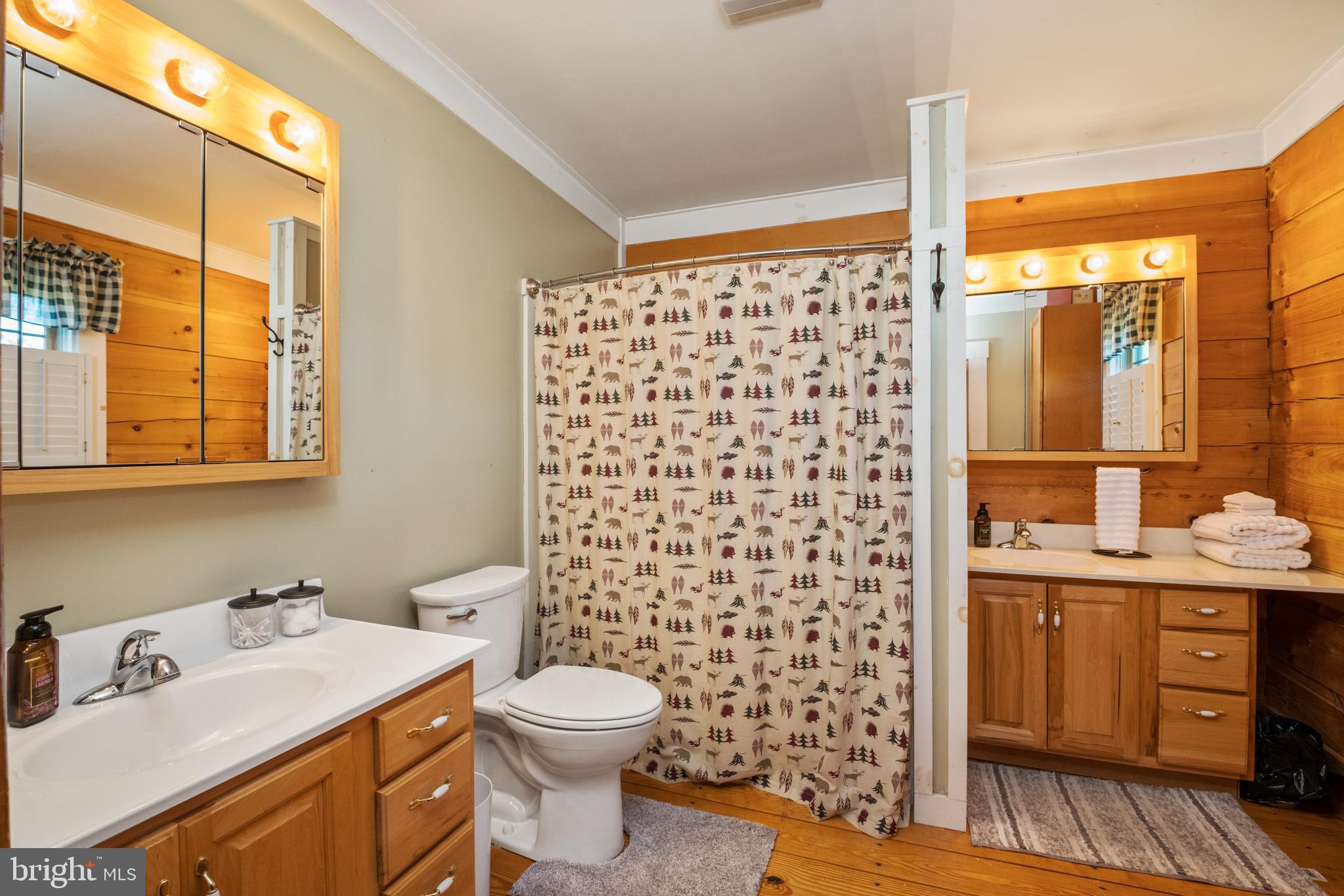 14238 Plains Mill Road Timberville, VA 22853 - Photo 27 of 63 1st floor primary bed and bath