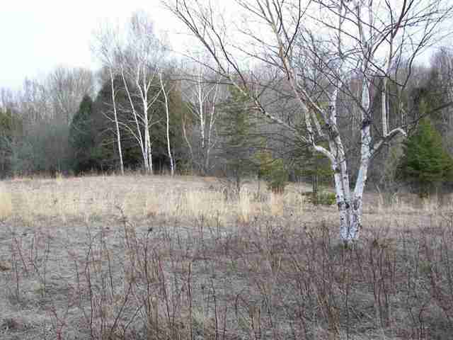 0 Downington Road Deckerville, MI 48427 - Photo 3 of 17 31050618-2.JPG