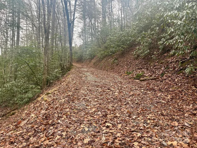 $30,000 | 0 Indian Rock Lane, Unit 7A&B, Bryson City, NC 28713