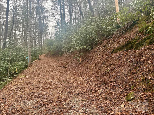 $30,000 | 0 Indian Rock Lane, Unit 7A&B, Bryson City, NC 28713