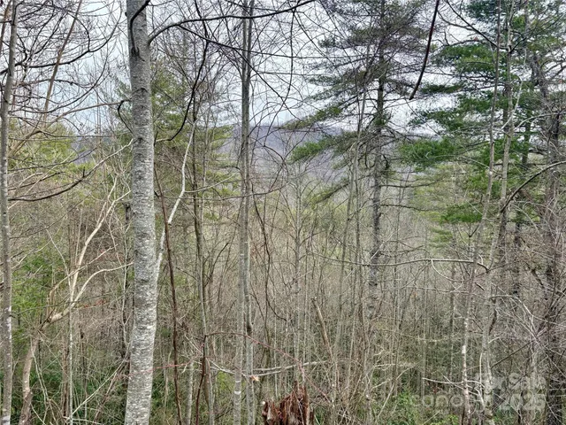 $30,000 | 0 Indian Rock Lane, Unit 7A&B, Bryson City, NC 28713