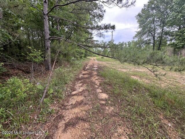 1048 Williamson Road Wesson, MS 39191 - Photo 6 of 11 land 05