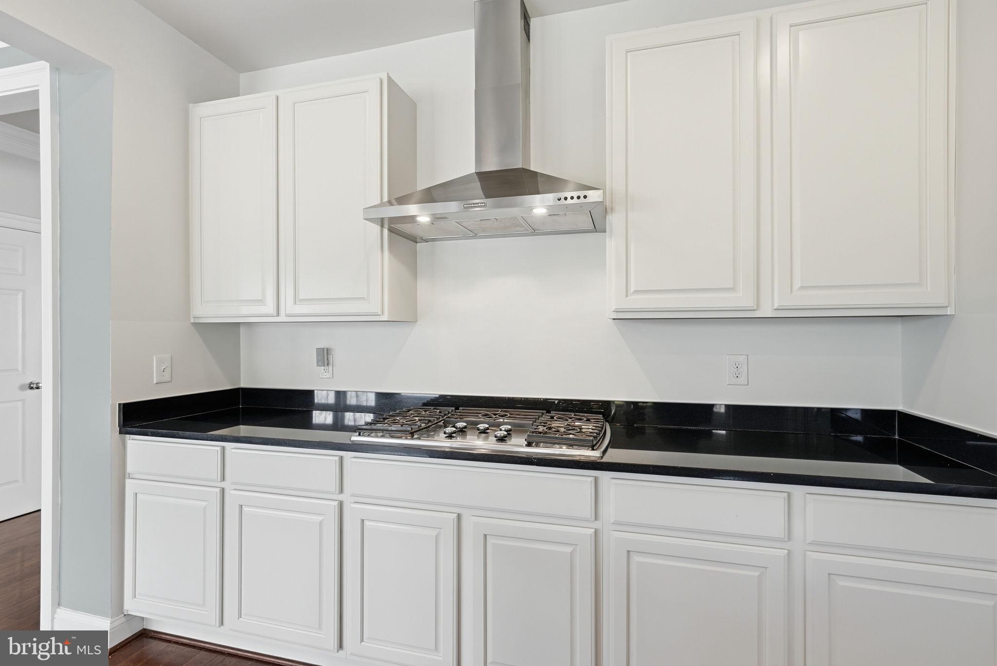 42330 Christophers View Terrace Ashburn, VA 20148 - Photo 10 of 46 a kitchen with granite countertop white cabinets and a stove