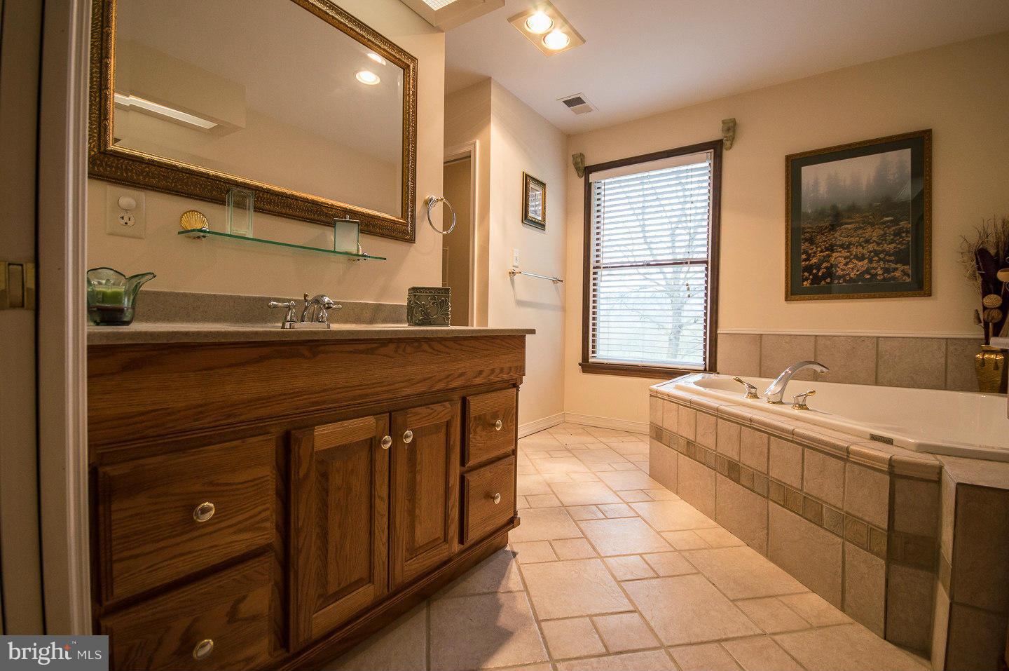 243 Lower Forge Road New Market, VA 22844 - Photo 23 of 30 Bath (Master)