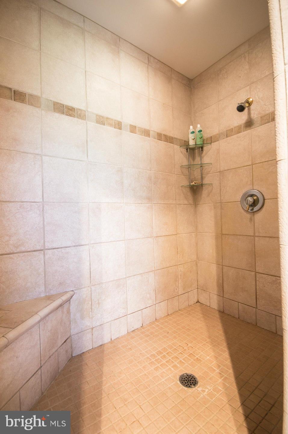 243 Lower Forge Road New Market, VA 22844 - Photo 24 of 30 Bath (Master)