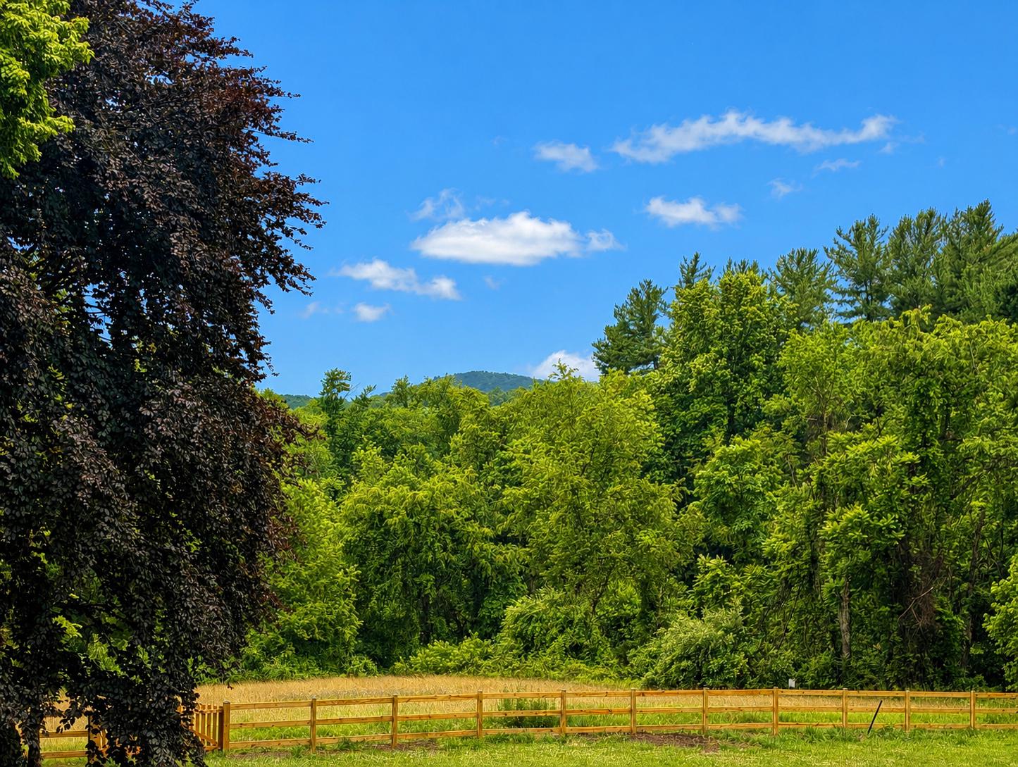 3110 Thurston Road Frederick, MD 21704 - Photo 2 of 38 View of Sugarloaf Mountain from the farm.