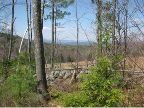 Lot 2 Old County Road Deering, NH 03244 - Photo 2 of 3
