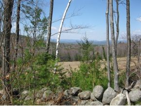 Lot 2 Old County Road Deering, NH 03244 - Photo 3 of 3