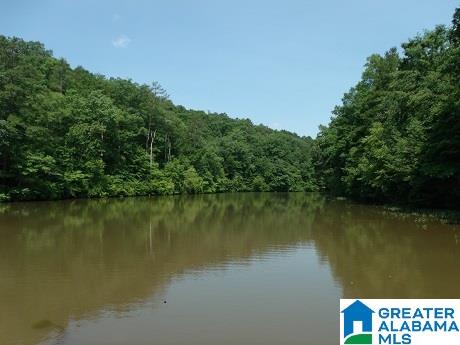 141 County Road 2010 Delta, AL 36258 - Photo 4 of 8