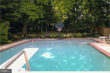 7823 O'Dell Street Springfield, VA 22153 - Photo 28 of 29 Exterior (Rear)