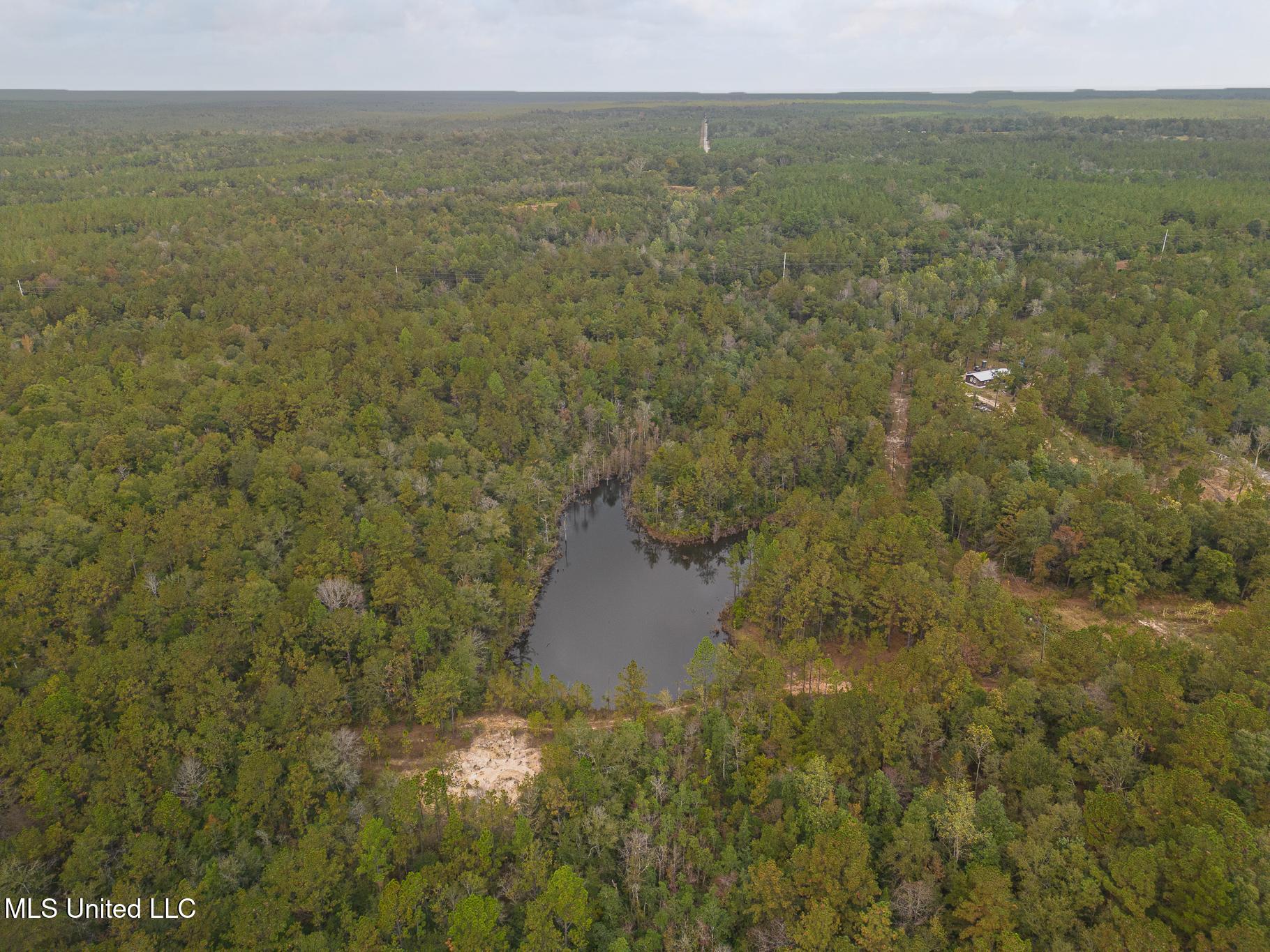 Scott Road Lucedale, MS 39452 - Photo 7 of 30 1000031778