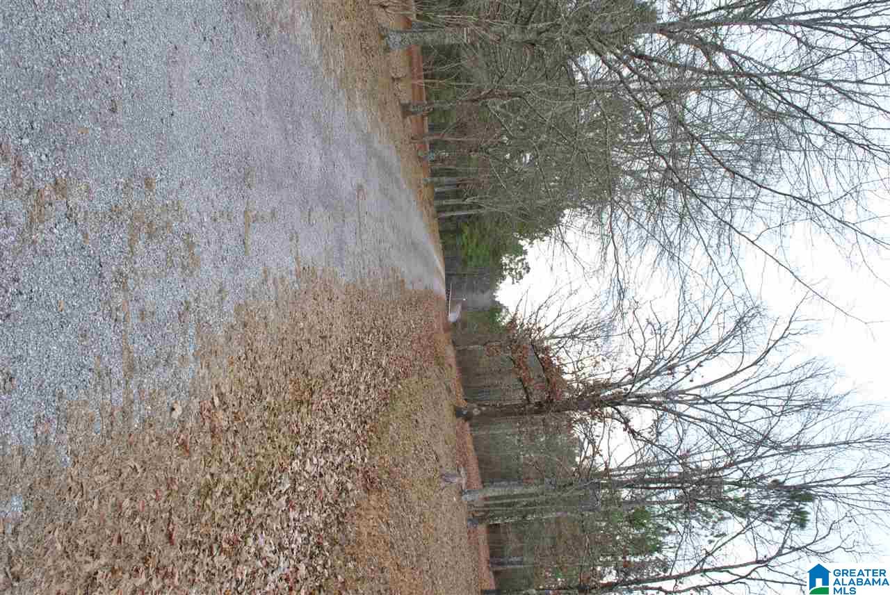 280 Bell Road Nauvoo, AL 35578 - Photo 4 of 23