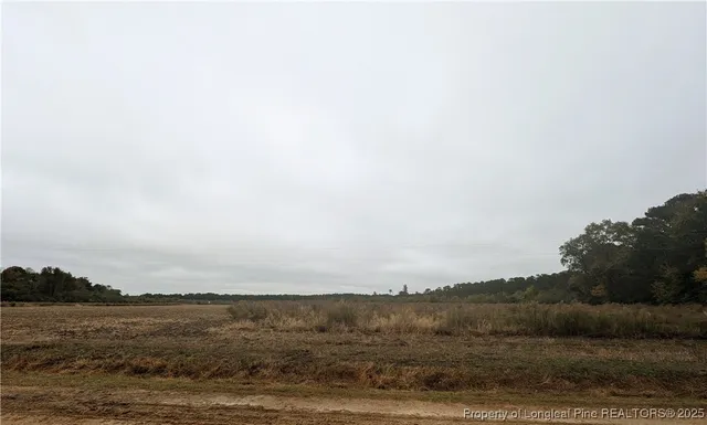 $178,000 | Triple B Lane Lane, Autryville, NC 28318