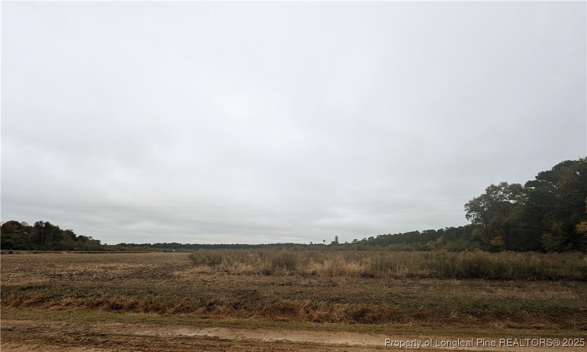 Triple B Lane Autryville, NC 28318 - Photo 3 of 3 a view of ocean