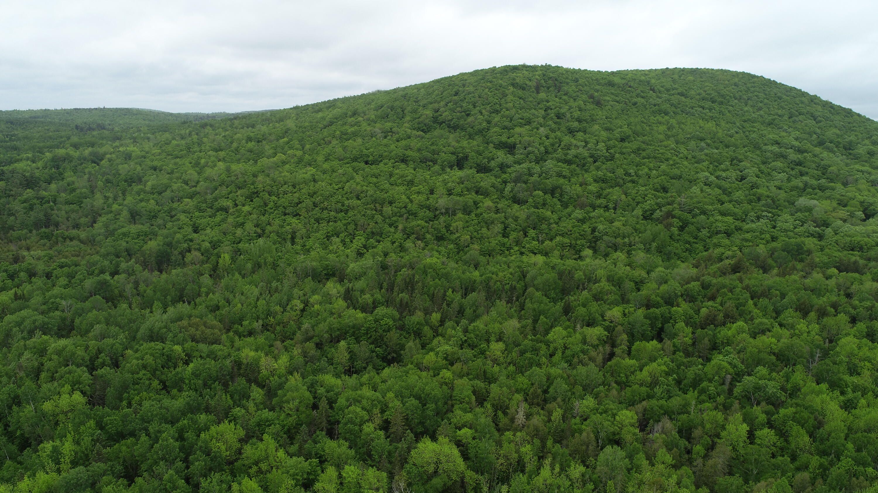 Lot 5 Harris Hill Road Weston, ME 04424 - Photo 9 of 9 DJI_0667