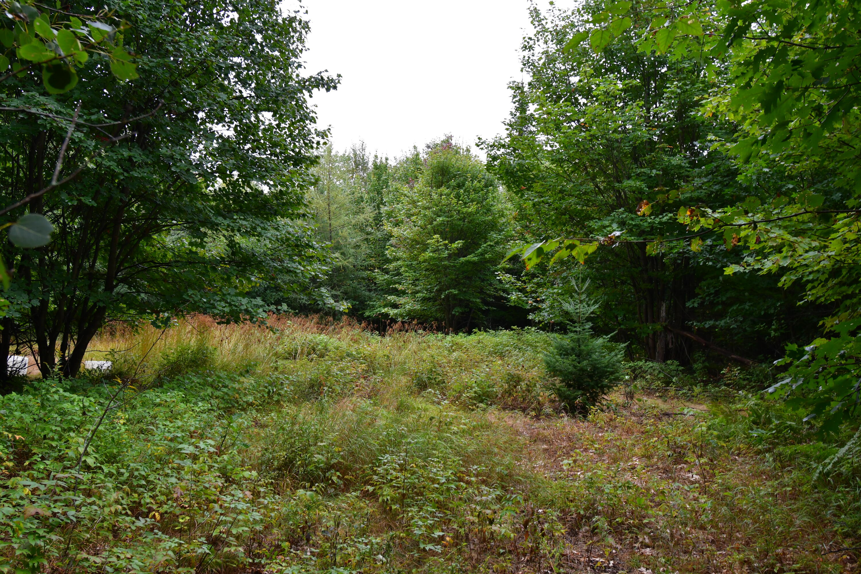 23 East 23 Mile Road Pickford, MI 49774 - Photo 34 of 47 Gallery Image 34