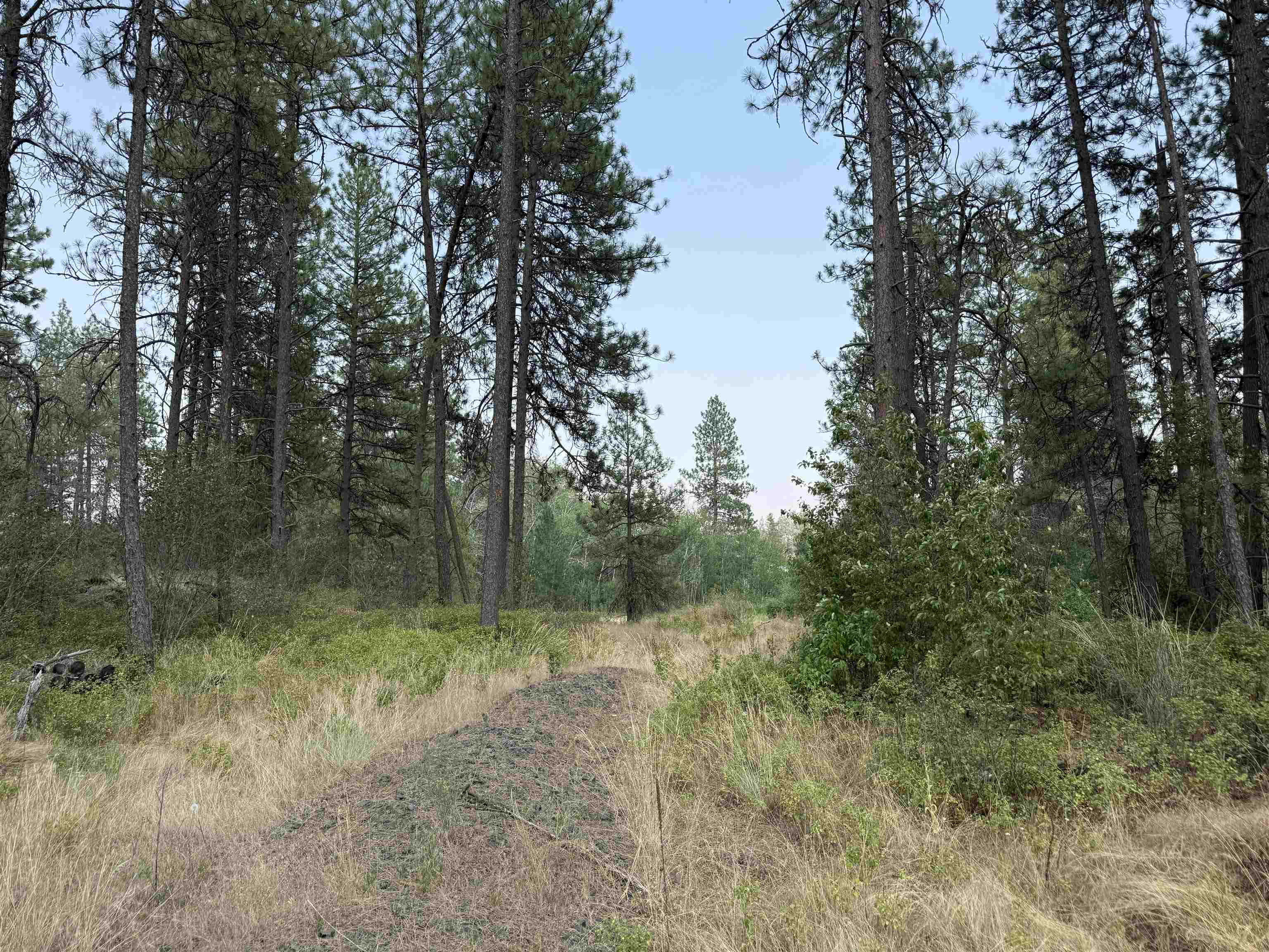 5.11-ac West Malloy Prairie Road Cheney, WA 99004 - Photo 19 of 25