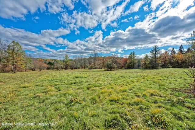 a view of a field with an trees