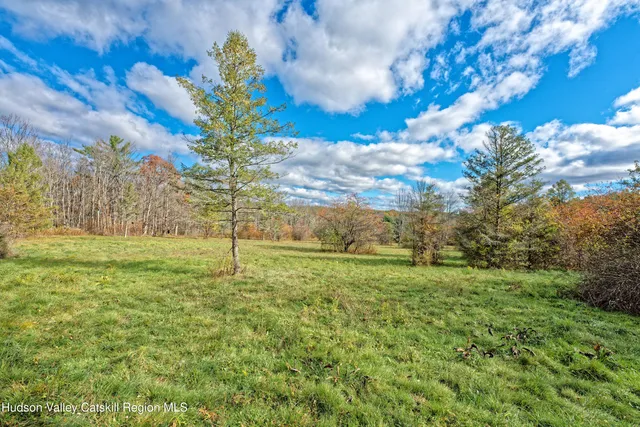 a big yard with lots of green space and trees
