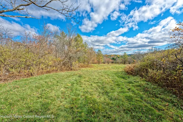 a view of a yard with an trees