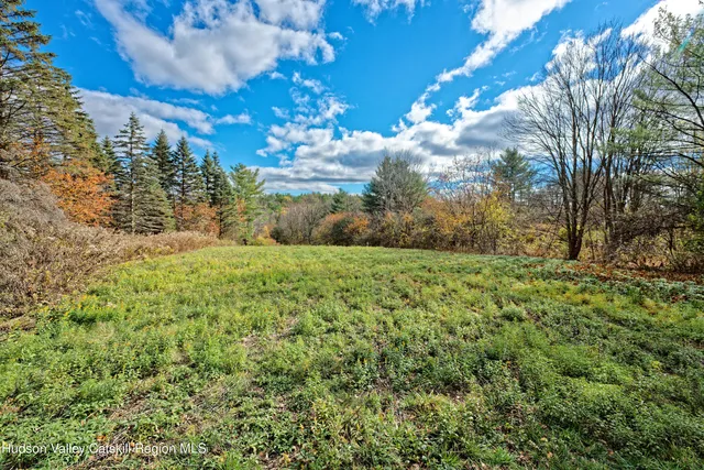 a view of green field with trees in the background