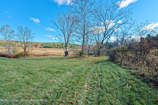 a view of a yard with plants and tree