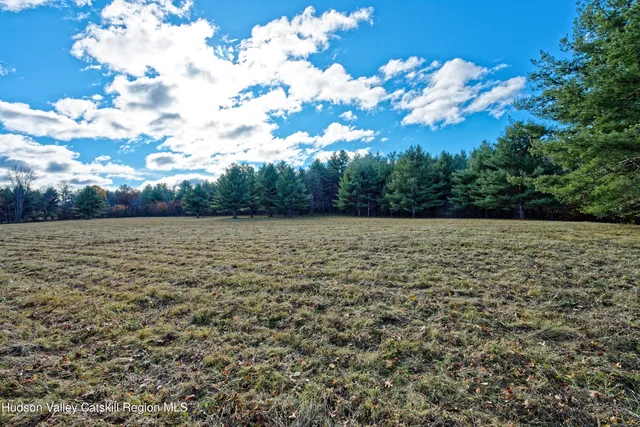 a view of a garden with a lot of flower plants