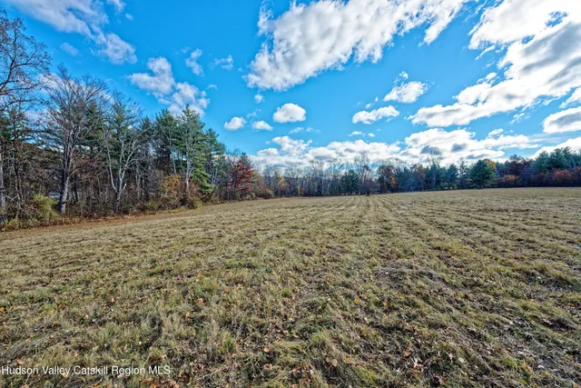 a view of a yard with plants
