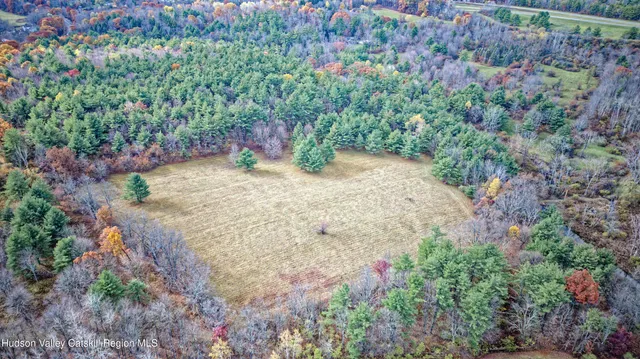 a view of a bunch of flowers and trees