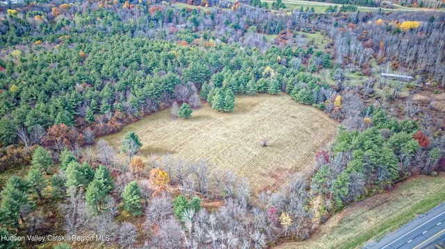 a view of a yard with a tree