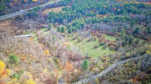 a view of a garden with a tree