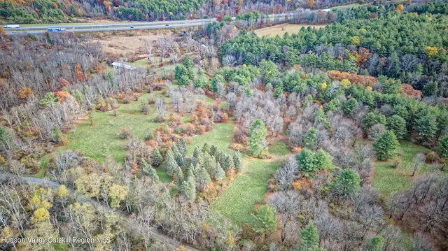 a view of a small yard with plants and large trees