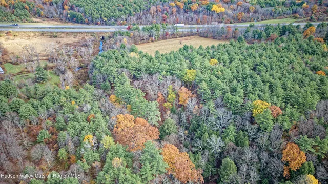 a view of a yard with plants and wooden fence