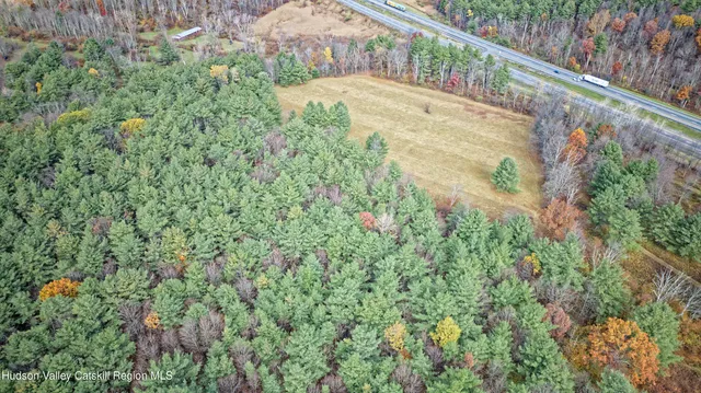 a view of a yard with plants and a bench